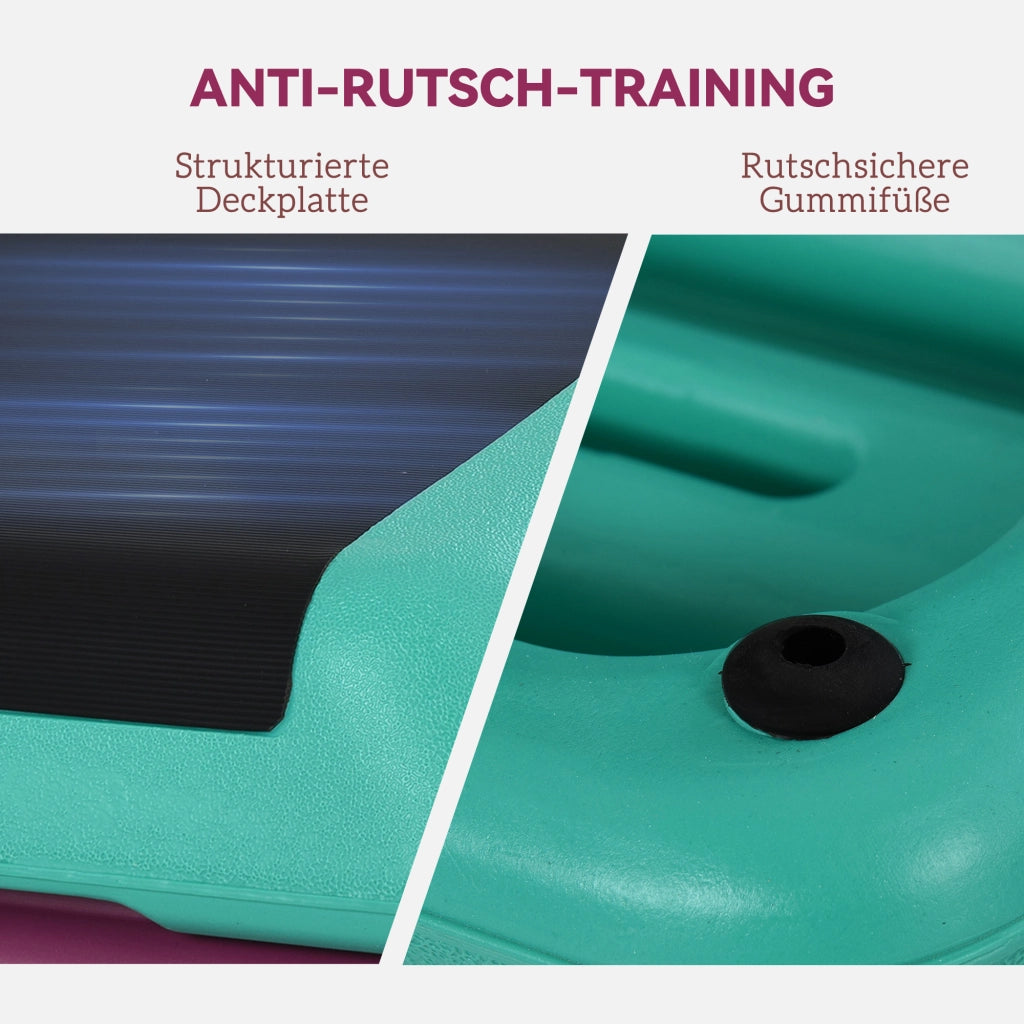 Panca Step Regolabile in Altezza ¨C zephmum ¨C 3 Livelli 10/15/20 cm in Plastica Nero+Verde+Viola