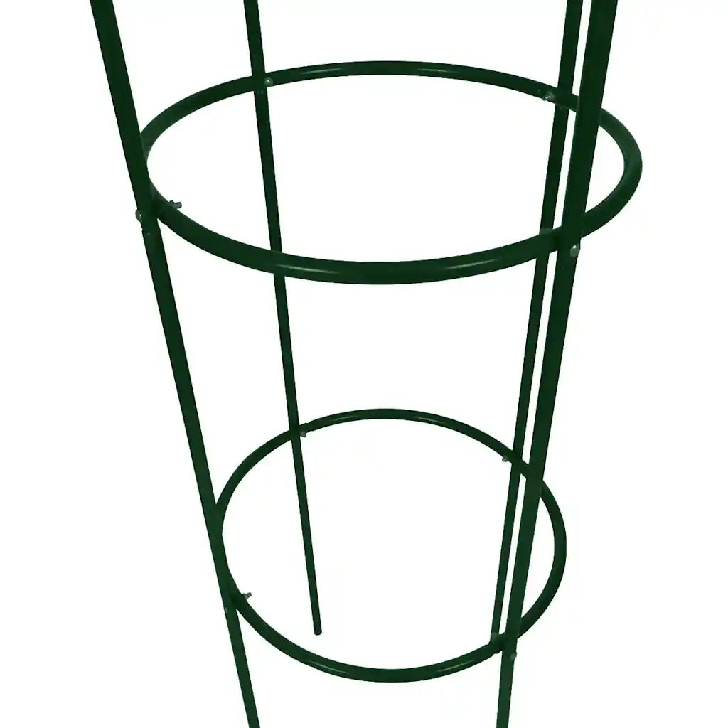 Set Torri ad Arco 2 pz per Piante Rampicanti da Giardino 40779