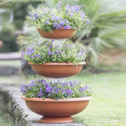 CIOTOLE TRIS FONTANA BAMA  PP TERRACOTTA D.CM 50 H.CM 64