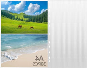 Scatole per foto A4 doppie per 120 foto, con 30 scatole, 11 fori, ultrasuono isolante, materiale polypropilene di alta qualità, scatole di protezione per foto.