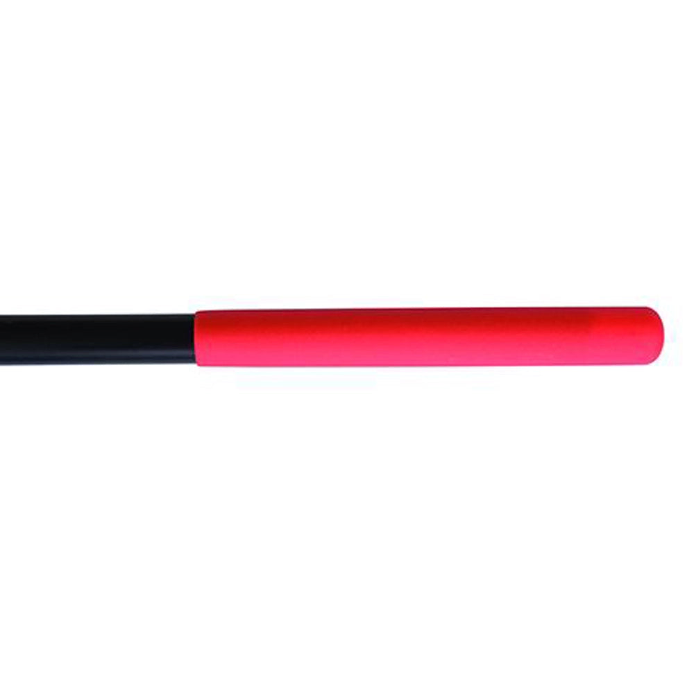 SCOPA RACCOGLI FOGLIE 56cm CON MANICO TESTA IN PP 24 DENTI SG-S20 SANDRIGARDEN