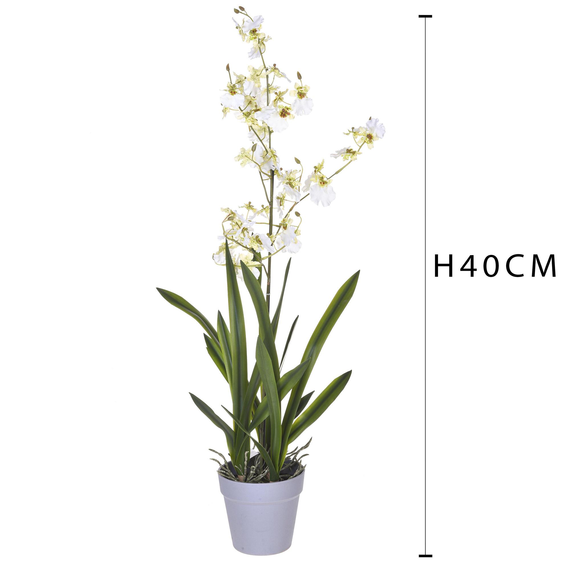 Orchidea Artificiali Oncidium con Vaso Altezza 40 cm Bianco