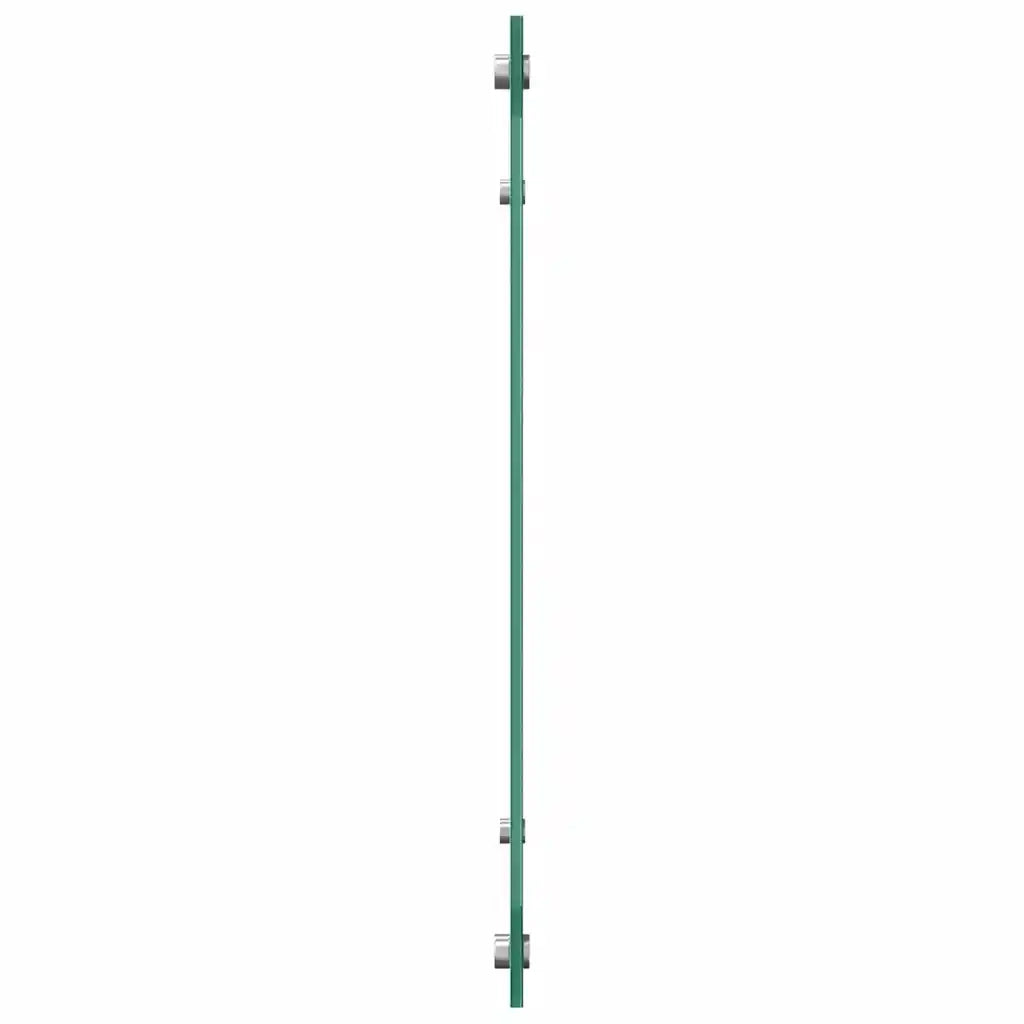 Schienale da cucina 2 pz Trasparente 80 x 60 cm CFW3157379