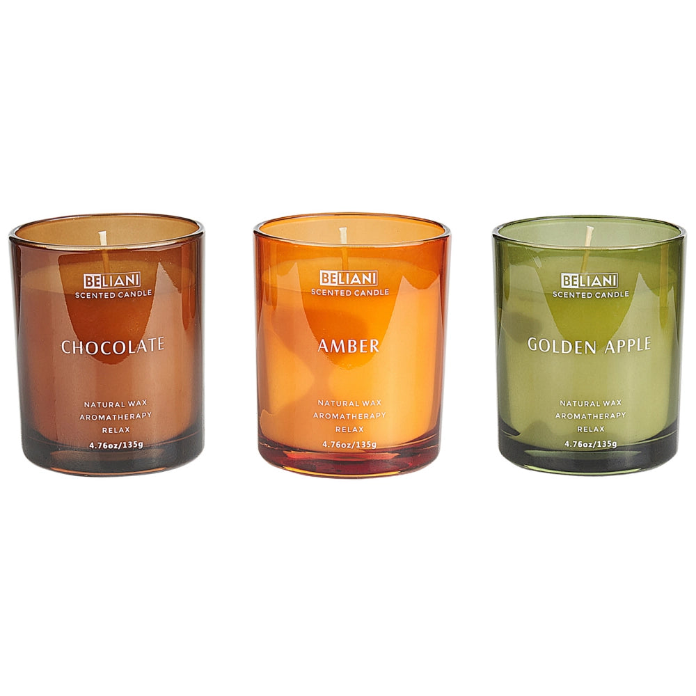 Set di 3 candele profumate multicolore 100% cera di soia stoppino di cotone vetro Naturale Fragranza fresca mela dorata, cioccolato, ambra