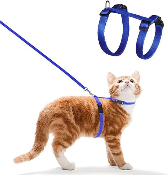 Attrezzo di Training per Piccoli Animali in Nylon con Freno di Lavorazione (Azzurro)