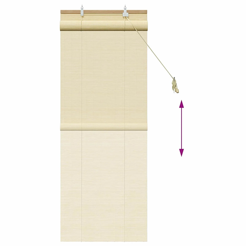 Tenda a rullo Naturale 40 x 160 cm Bambù 42039748