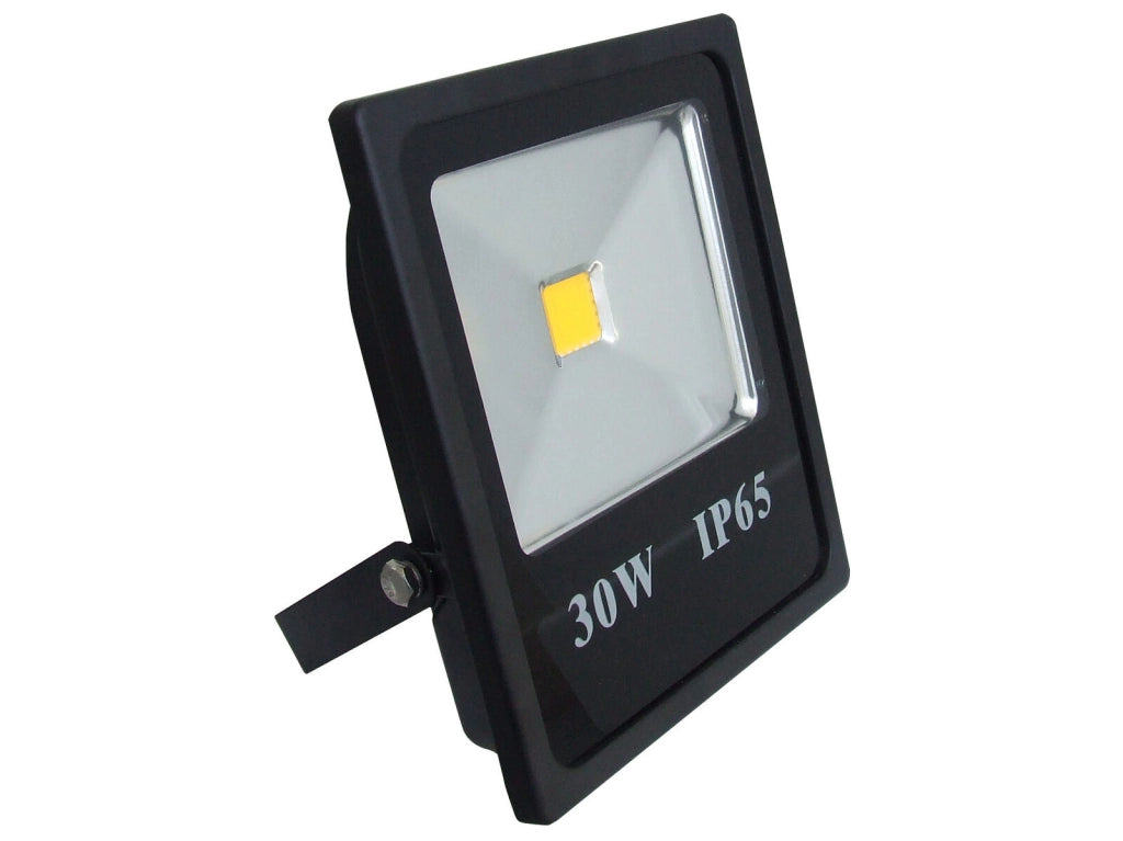 Bisonte Proiettore Led 10W 4000k 750lm Fly