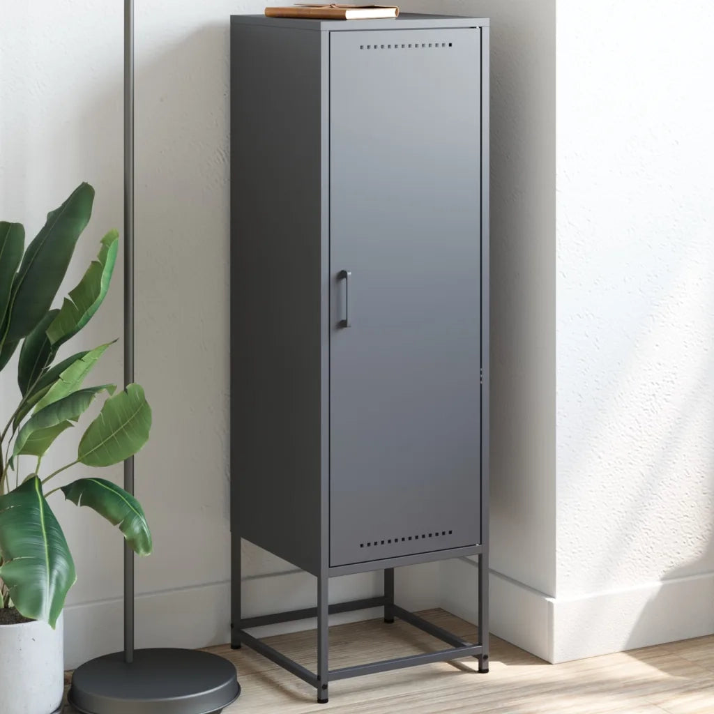 Credenza | Madia | Buffet da pranzo | Armadio da pranzo Antracite 36x39x123 cm in Acciaio