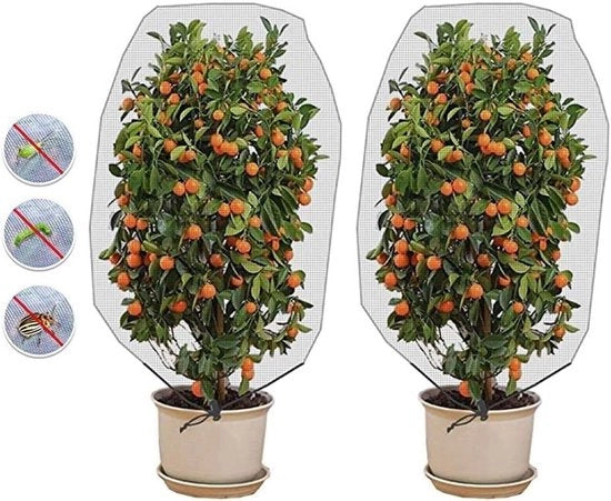Due pezzi di protezione per piante da giardino con rete di protezione dagli insetti - corda per camminare - rete di protezione per uccelli - rete a maglia per proteggere fiori, alberi, frutta e verdura.
