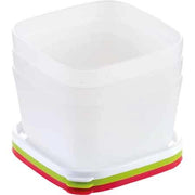 CONTENITORI IGIENICI PER FREEZER 'PURITY' 0,5 lt - 3 pezzi - TESCOMA