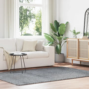 Tappeto Shaggy a Pelo Lungo NAVARRA Grigio Chiaro 160x230 cm