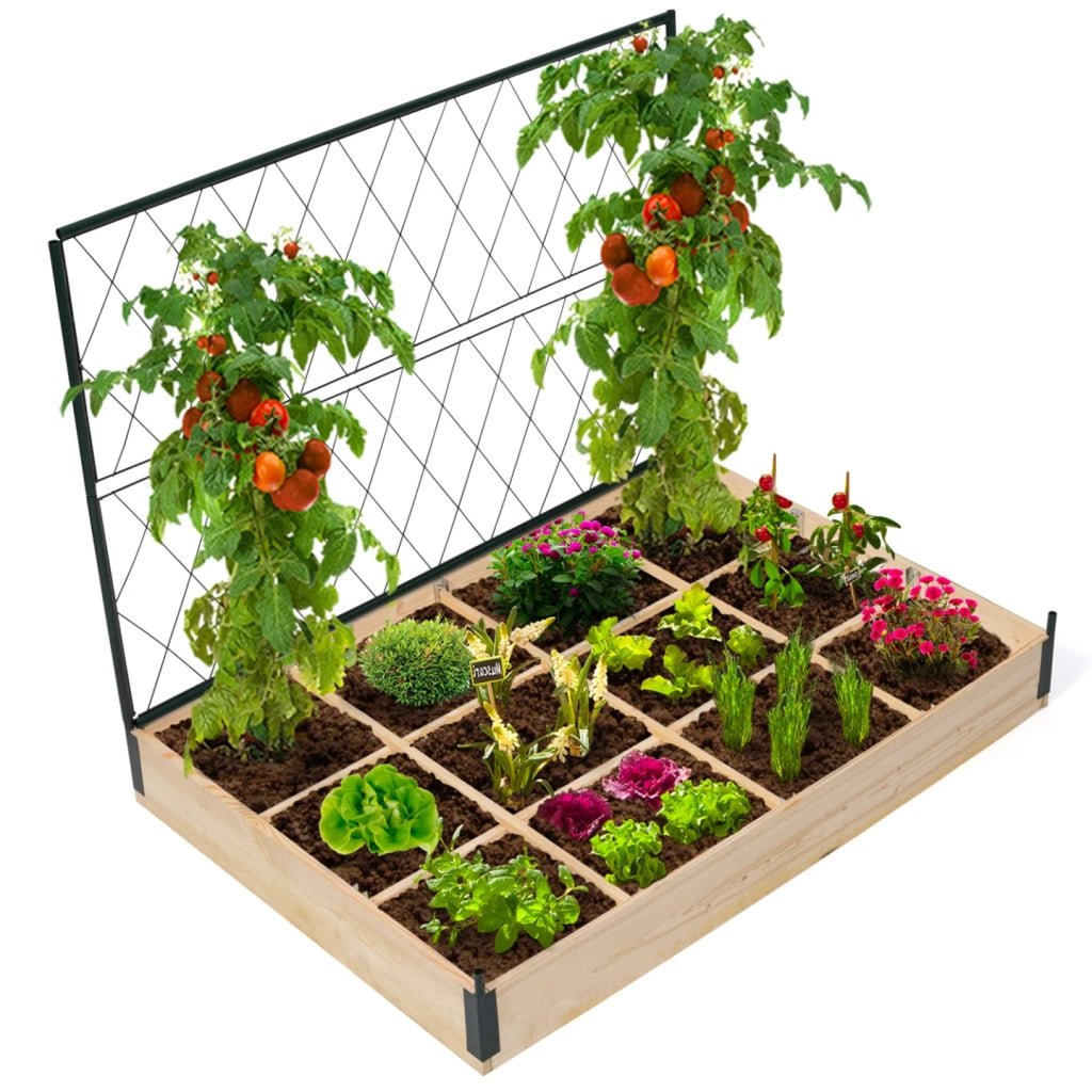 IDMarket - Kit completo di 3 vasche modulari per orto e serra di pomodori + traliccio + copertura