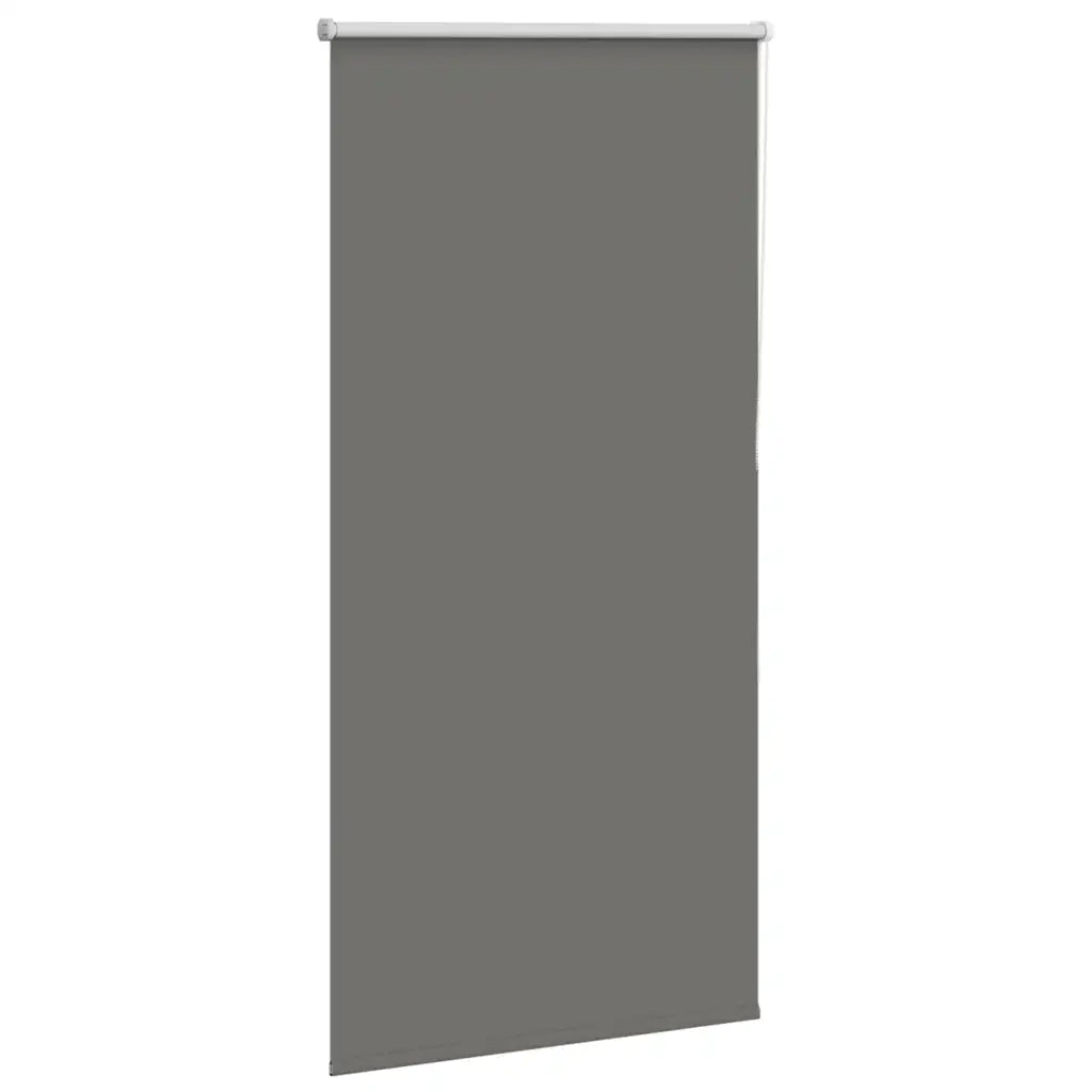 Tenda a Rullo Oscurante 70x150 cm Larghezza Tessuto 65,7 cm 4011122