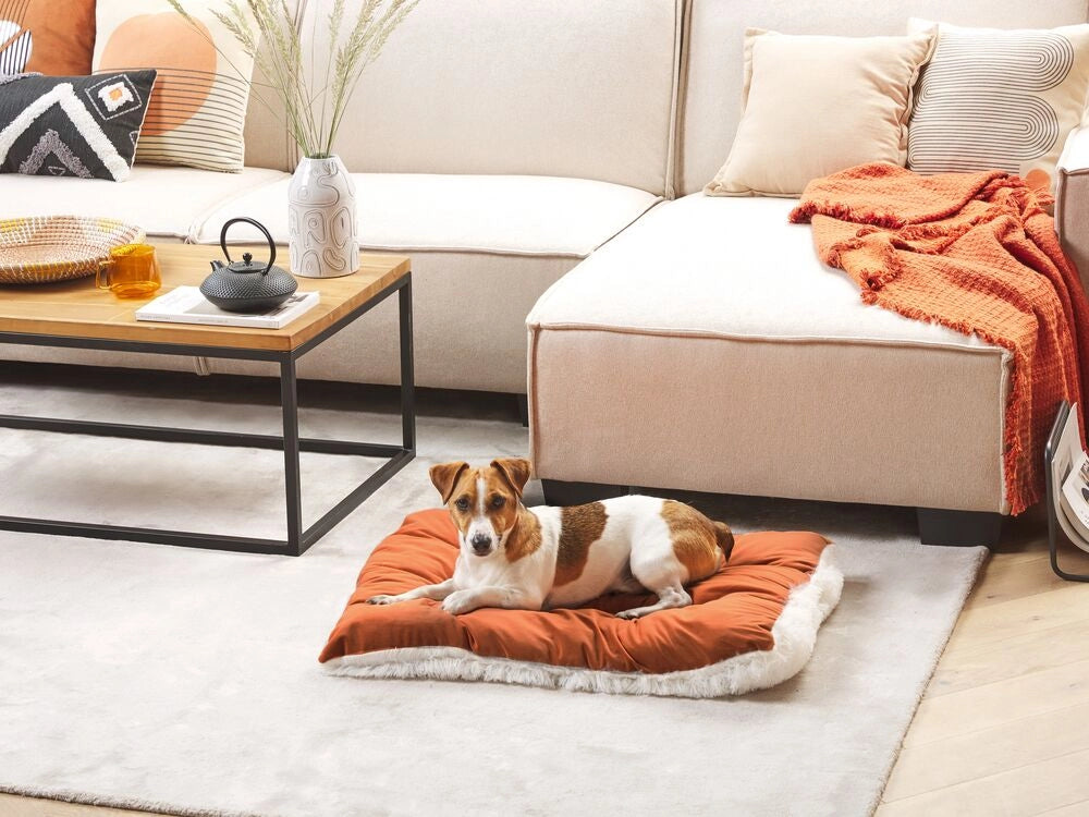 Cuccia animali letto per cani lettino gatti velluto arancione con nappe 90 x 60 cm