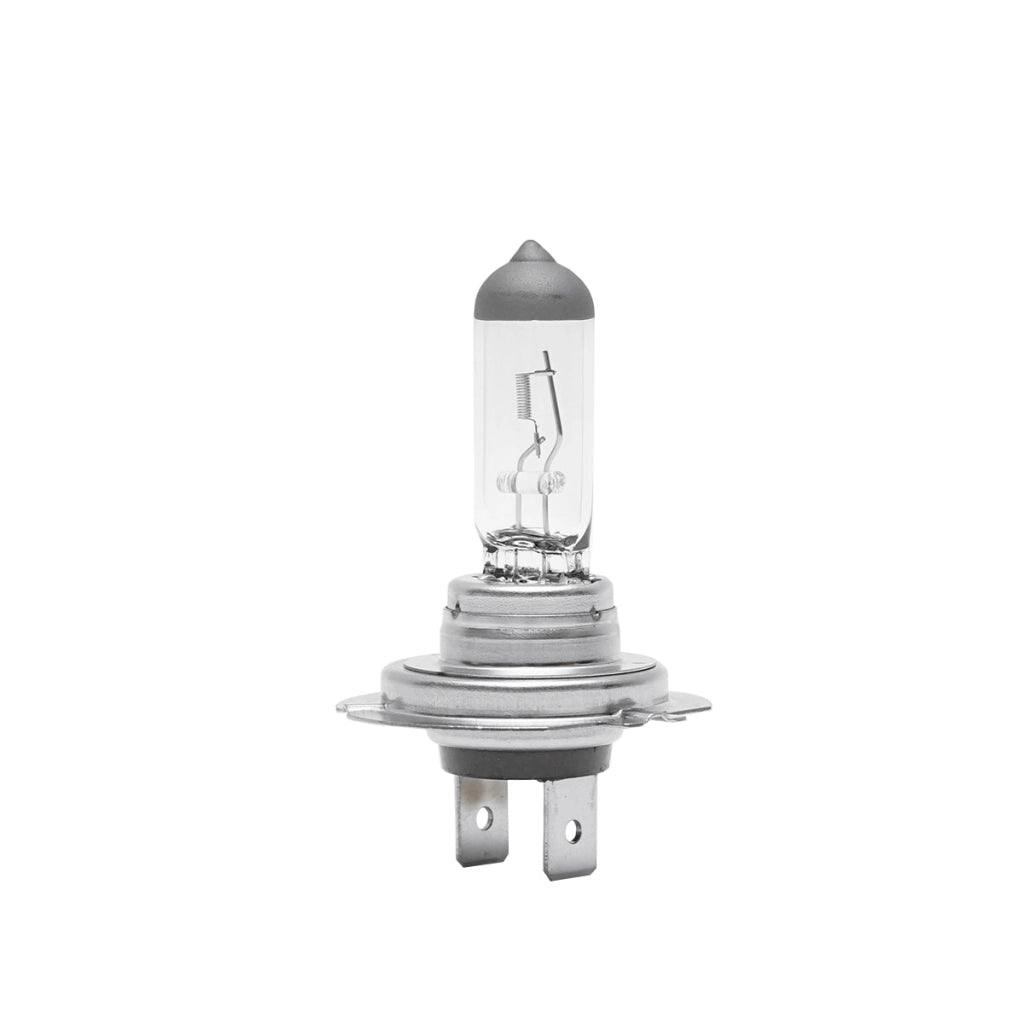 Lampadina alogena H7 12V/55W PX26D Osram