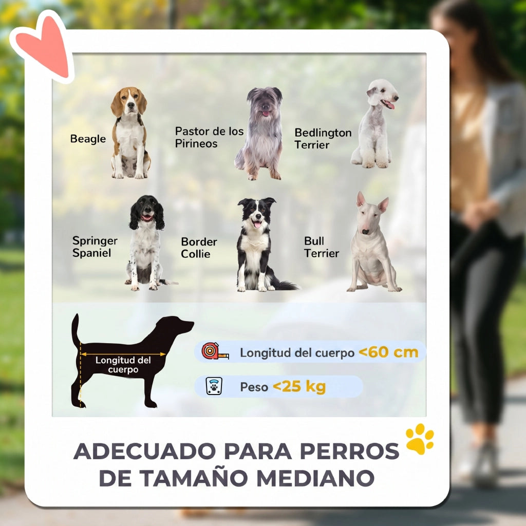 Cuccia per cani pieghevole con cuscino lavabile ¨C Minimal ¨C Grigio scuro 124x67x100 cm