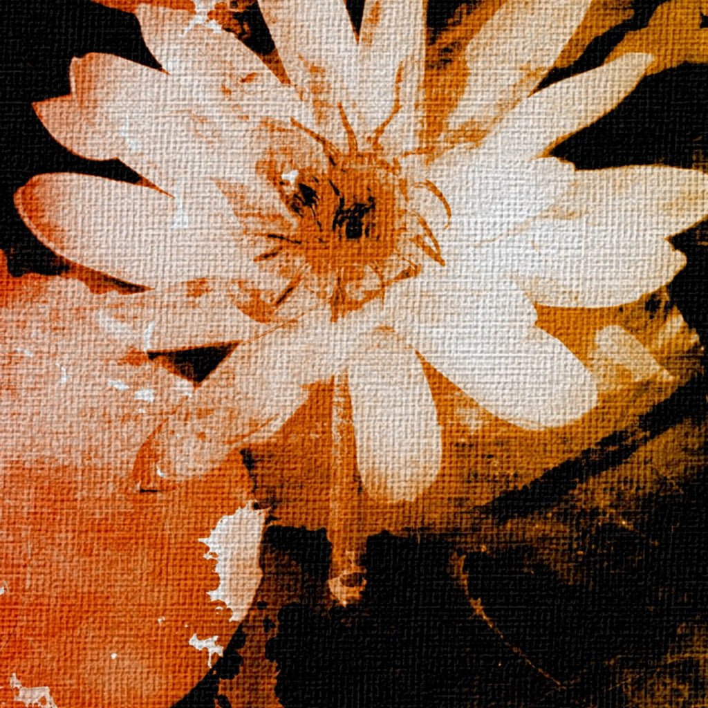 Decorazione Floreale Grunge - Quadro Canvas su telaio in legno Misura: 70X50 cm
