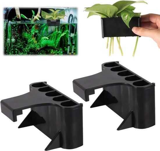 Due vasi per piante acquatiche in plastica con 5 aperture e misure 9,2 x 6,5 x 4,5 cm.