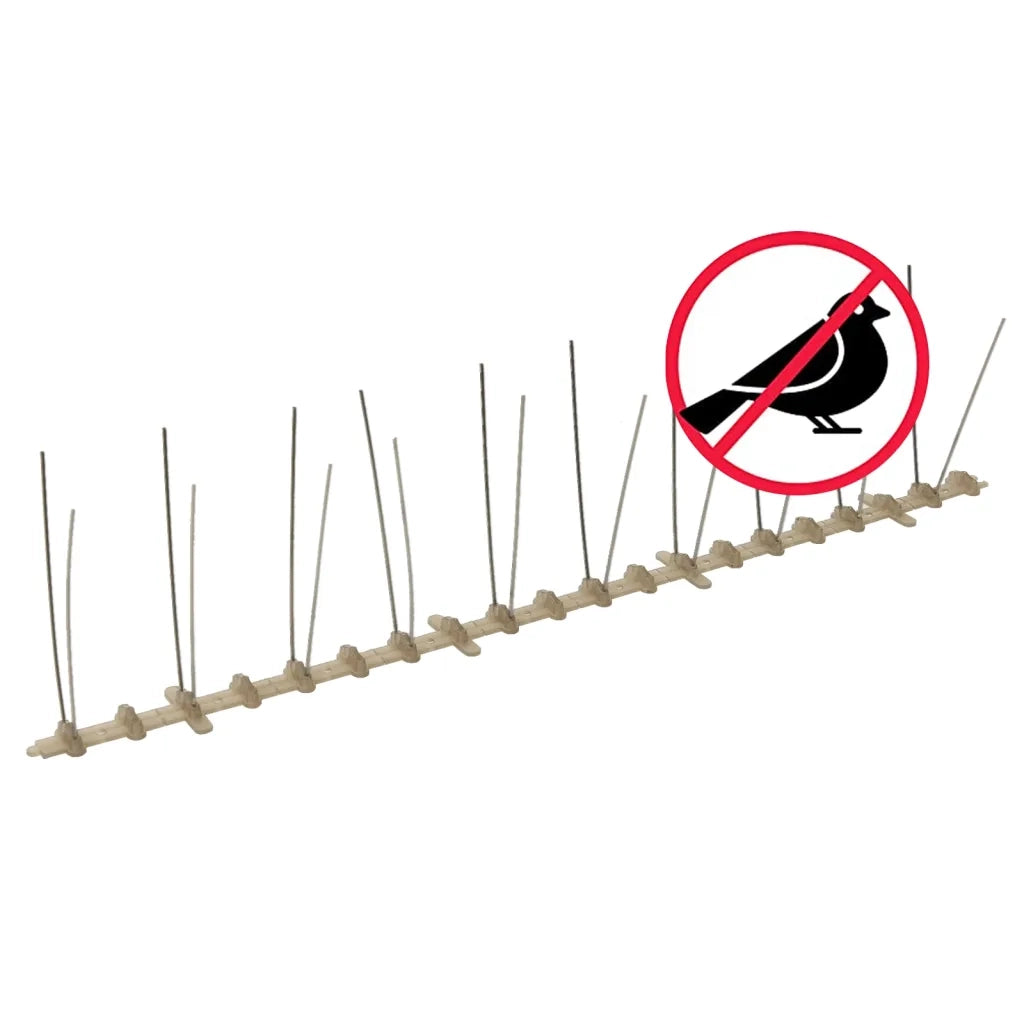 Set Dissuasori per Uccelli e Piccioni 20 pz 2 File 10 m CFW7685013