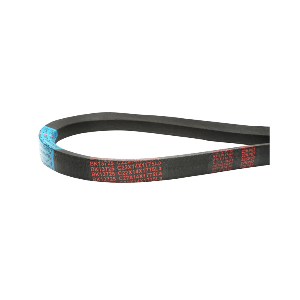 Cinghia di trasmissione  C 22x14x1775 LA