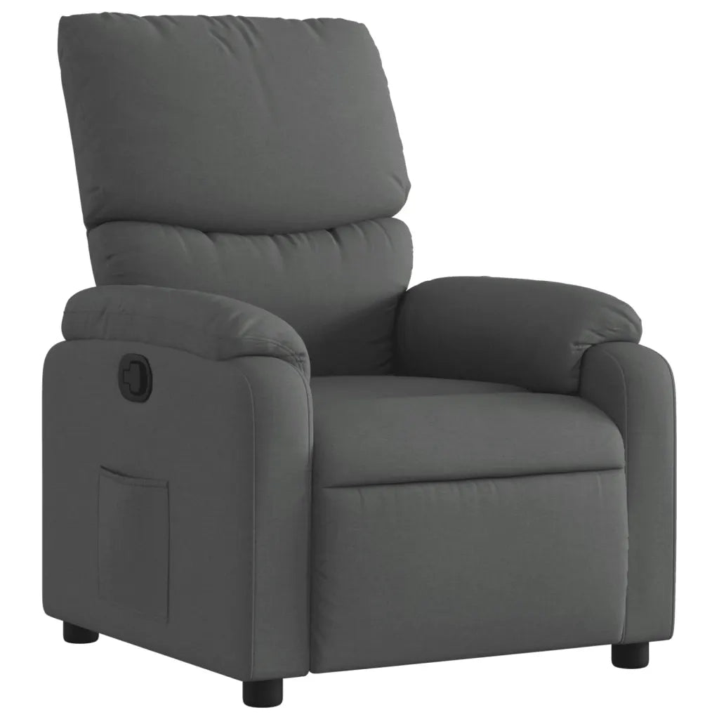 Divano Sedia-Poltrona Reclinabile in Tessuto Grigio Scuro 438560