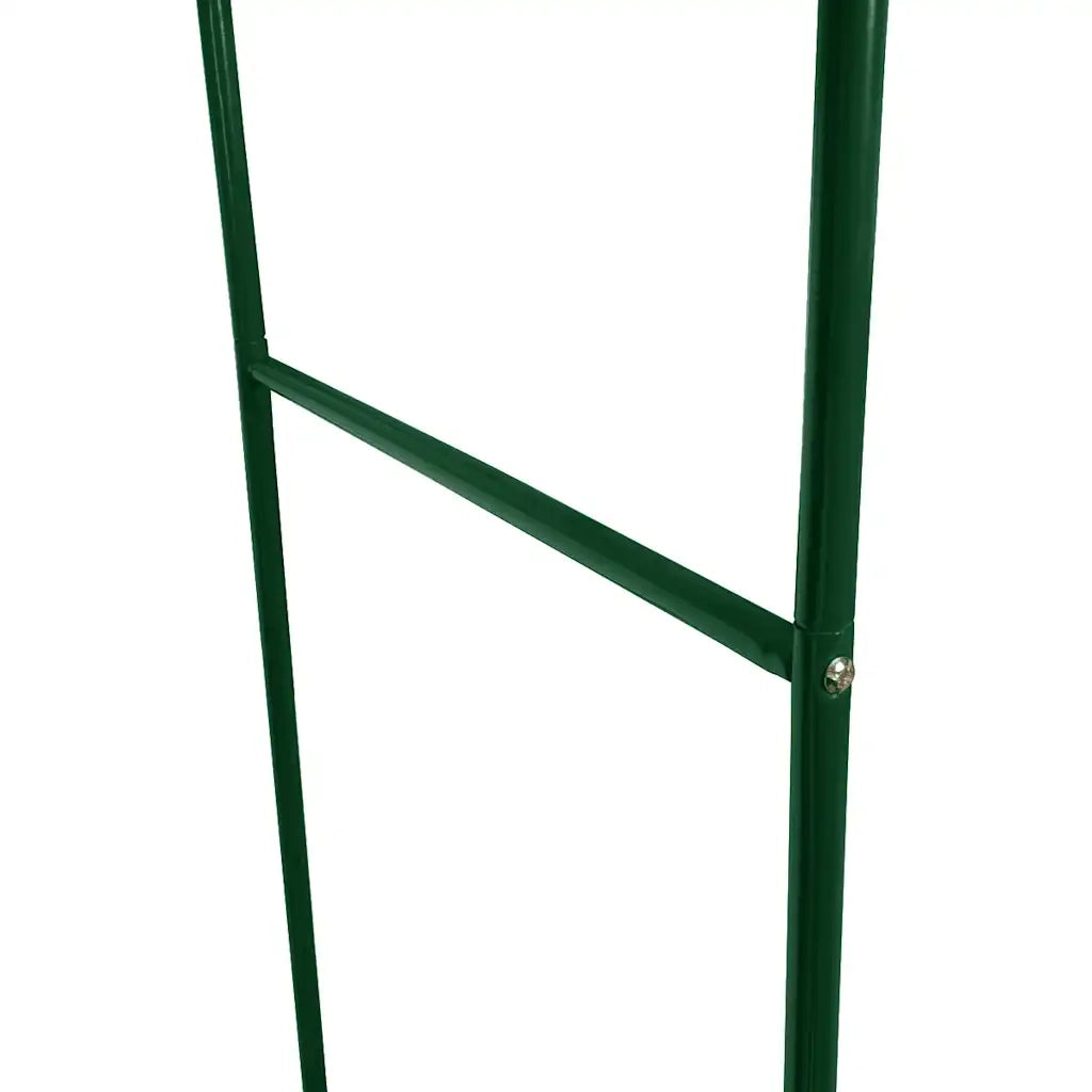 Archi da Giardino 2 pz per Piante Rampicanti CFW1801421