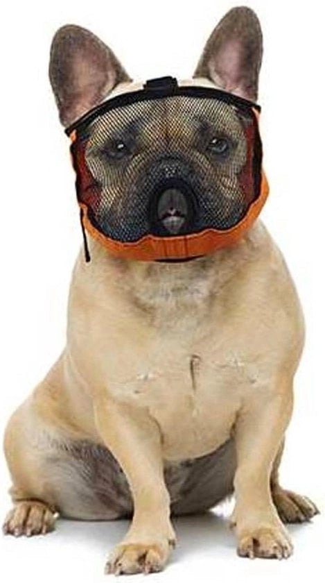 Musero per Cani Brachicefali Grande Finale Oranje e Nero Dimensione S