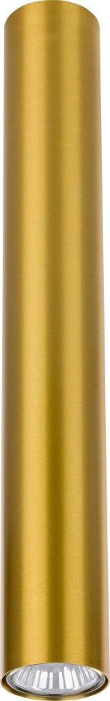 Spot soffitto Nowodvorski Eye in ottone GU10 1 luce