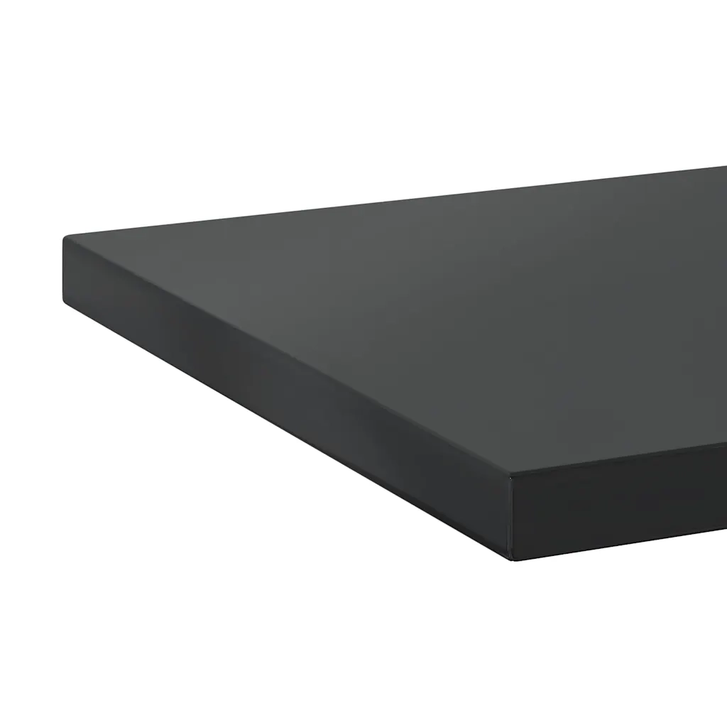 2 pz Mensole a Muro | Scaffale Parete | Ripiano a parete 100x30 cm Nero in Acciaio Inossidabile