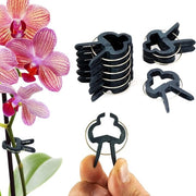 Clip per piante per pomodori clip per viti per rose aiuto per piante rampicanti per vasi per piante fissaggio facile riutilizzabile - Set da 60