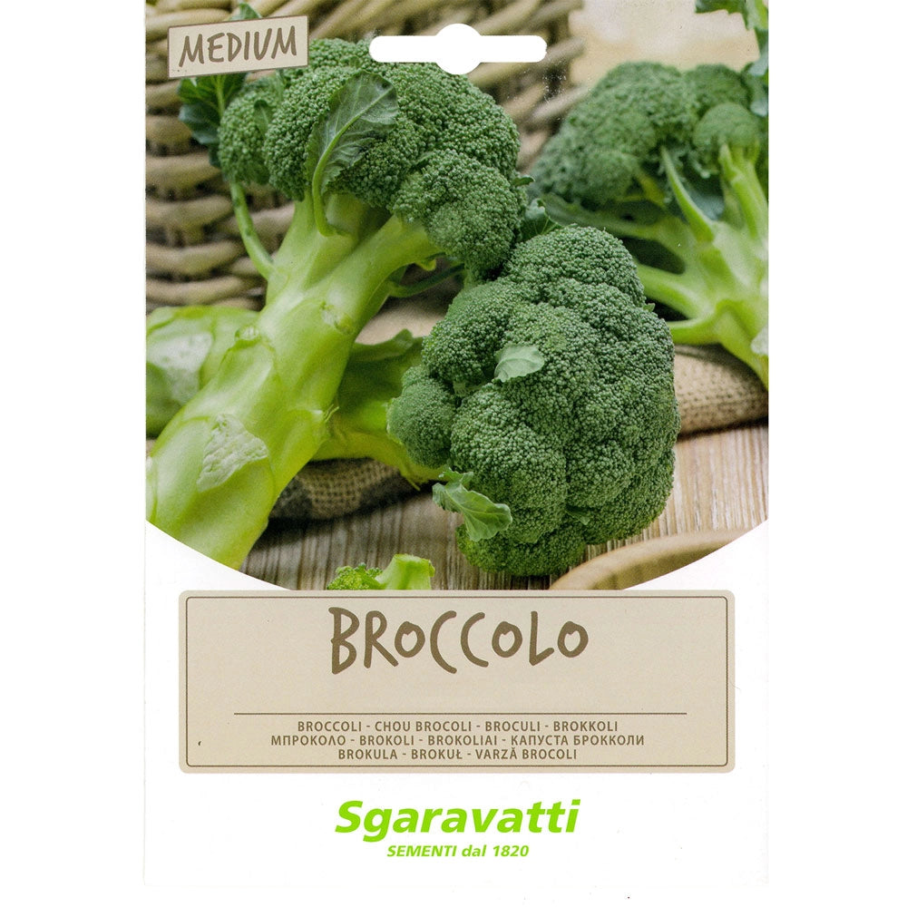 SEMI PER FAVE broccoletto sessantino a cima grossa - gr 100  - SGARAVATTI