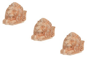 Biscottini Set 3 Piedini TESTA DI LEONE sottovaso per vasi in Terracotta Toscana 100% Made In Italy interamente Lavorata a Mano