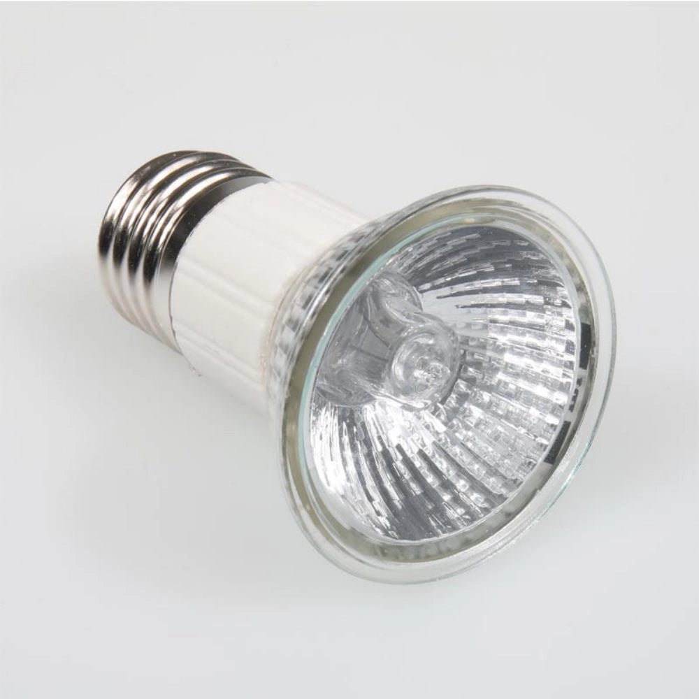 JBL Reptil Day Halogen - Faretto Riscaldante Diurno per Rettili Wattaggio Riscaldatori e lampade terrario: 75W