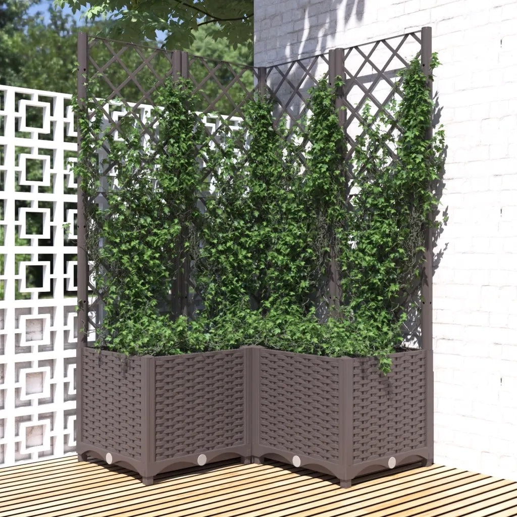 Fioriera | Cassetta per fiori | Vaso da Giardino con Graticcio Marrone 80x80x136 cm in PP