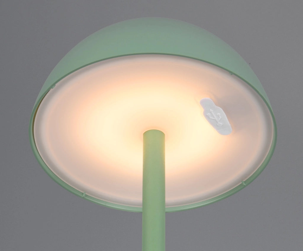 Lampada tavolo outdoor a batteria LED 2W Ricardo verde