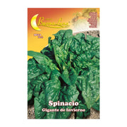 SEMI ORTO SPINACI GIGANTI- HORTUS SEMENTI- 10,0 pz