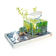Wave Zen Artist Vassoio in Legno Laccato Bianco Misure cm 60x40x7H