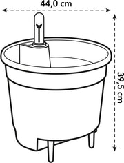 Inserzione Autoirrigante - 43 cm