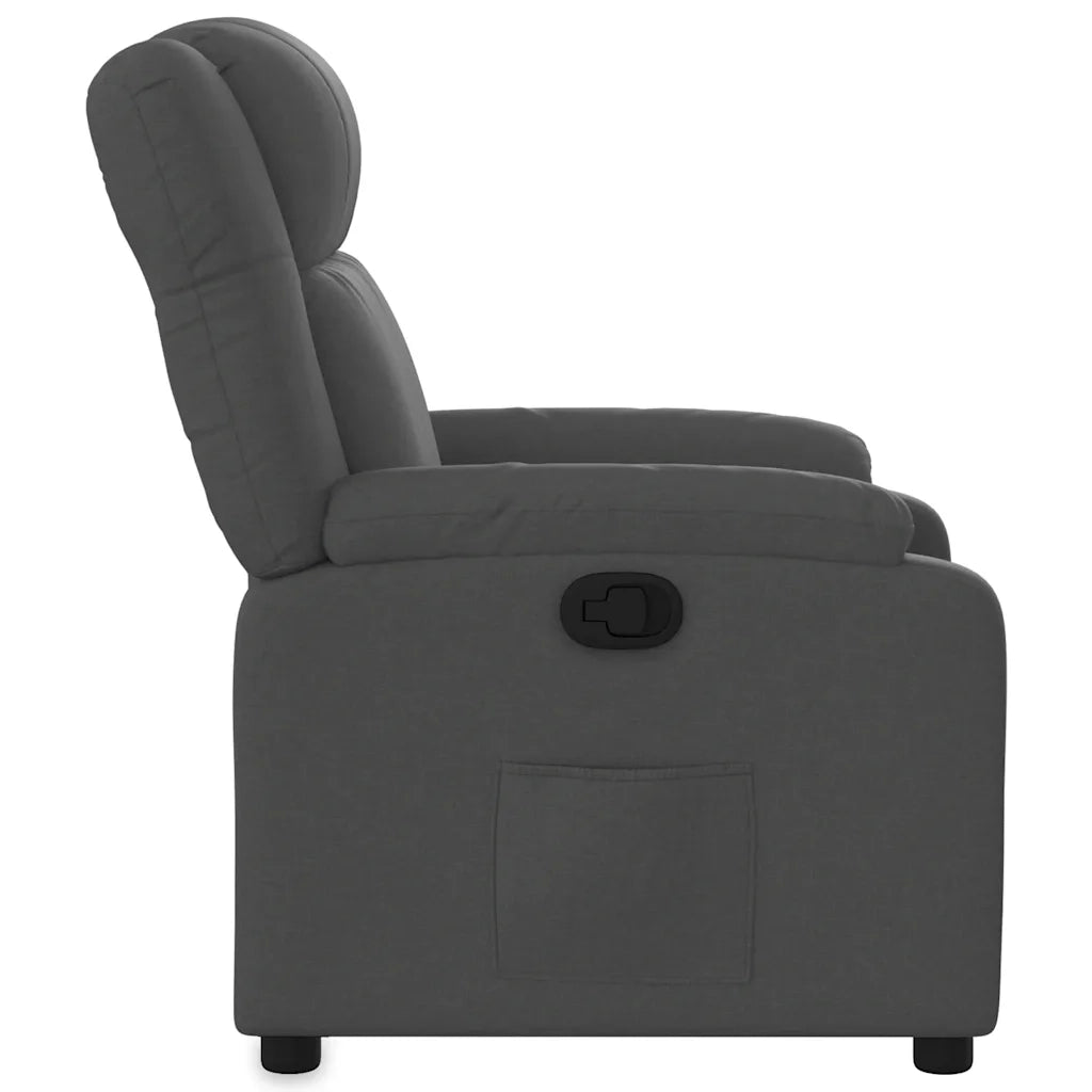 Divano Sedia-Poltrona reclinabile in Tessuto Grigio Scuro 998955