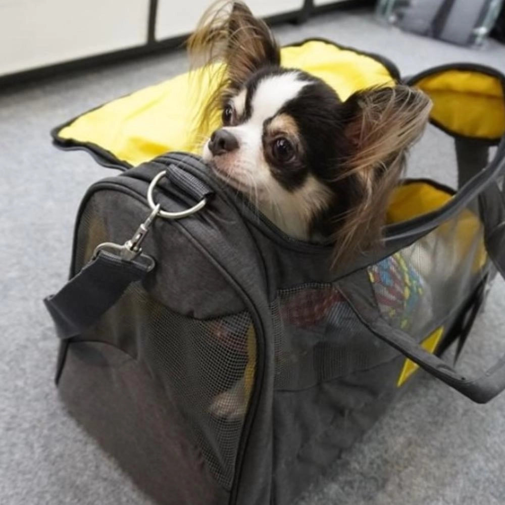 Zu e lu borsa trasportino animali da viaggio melinda large 9 kg