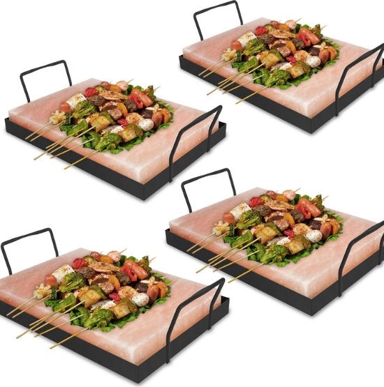 Accessorio BBQ Zout Tile 20 cm x 30 cm x 3 cm (Con Supporto in Ferro di Piatto BBQ) 4X