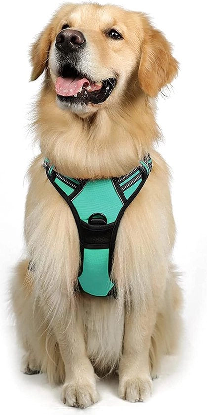 Harnas per cani Medie dimensioni cani Anti-trazione con comando Non tirare Collare per cani adattabile per cani grandi Strisce riflettenti respiranti per cani Cintura per cani Sicura per cani Guida per cani con cintura Verde XL