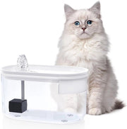 Piscina per gatti - Fonte di acqua silenziosa - Dispensatore acqua con serbatoio trasparente - Filtro BPA libero