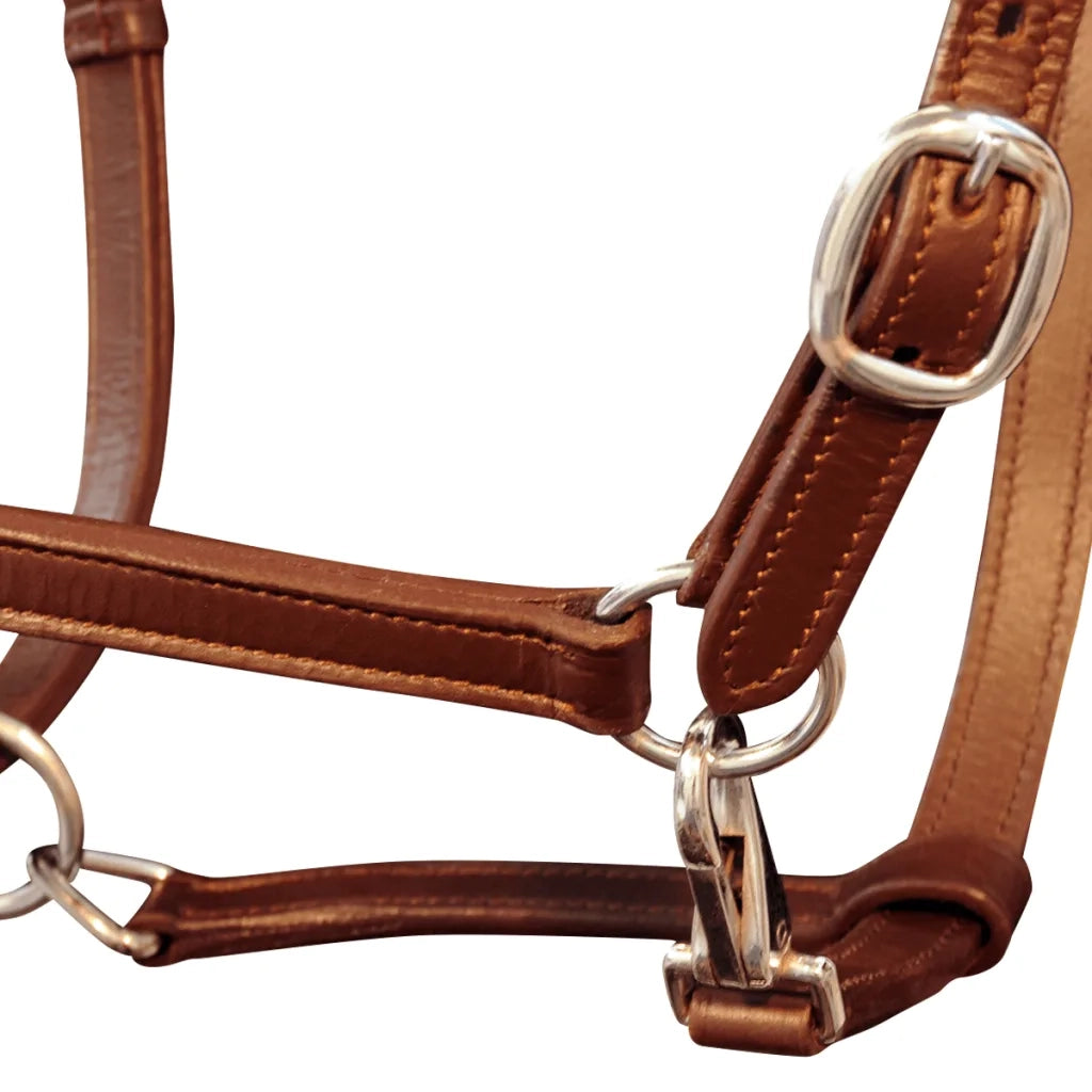 Cavezza testiera cuoio naturale regolabile per stalla marrone cavallo CFW7866211