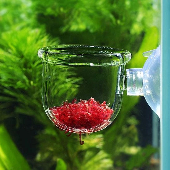 Alimentatore per acquari - Adatto per piccoli pesci tropicali - Materiale di alta qualità - Duraturo - Con morsetto - Migliora il piacere di alimentazione - Alimentatore per acquari