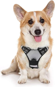 Harnas per cani, riflettente e respirabile, con cerniera regolabile e morbido per cani grandi, medi o piccoli e cuccioli