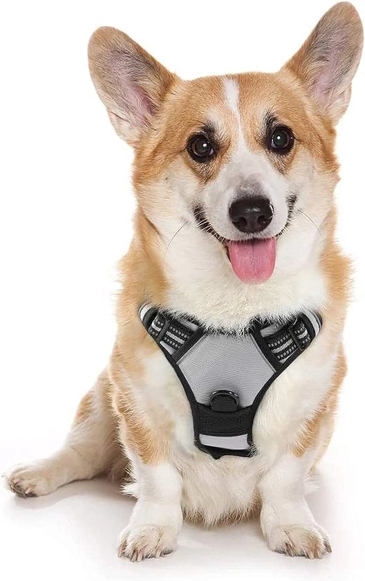 Harnas per cani, riflettente e respirabile, con cerniera regolabile e morbido per cani grandi, medi o piccoli e cuccioli