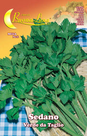 SEMI ORTO SEDANO VERDE DA TAGLIO- HORTUS SEMENTI- 10,0 pz