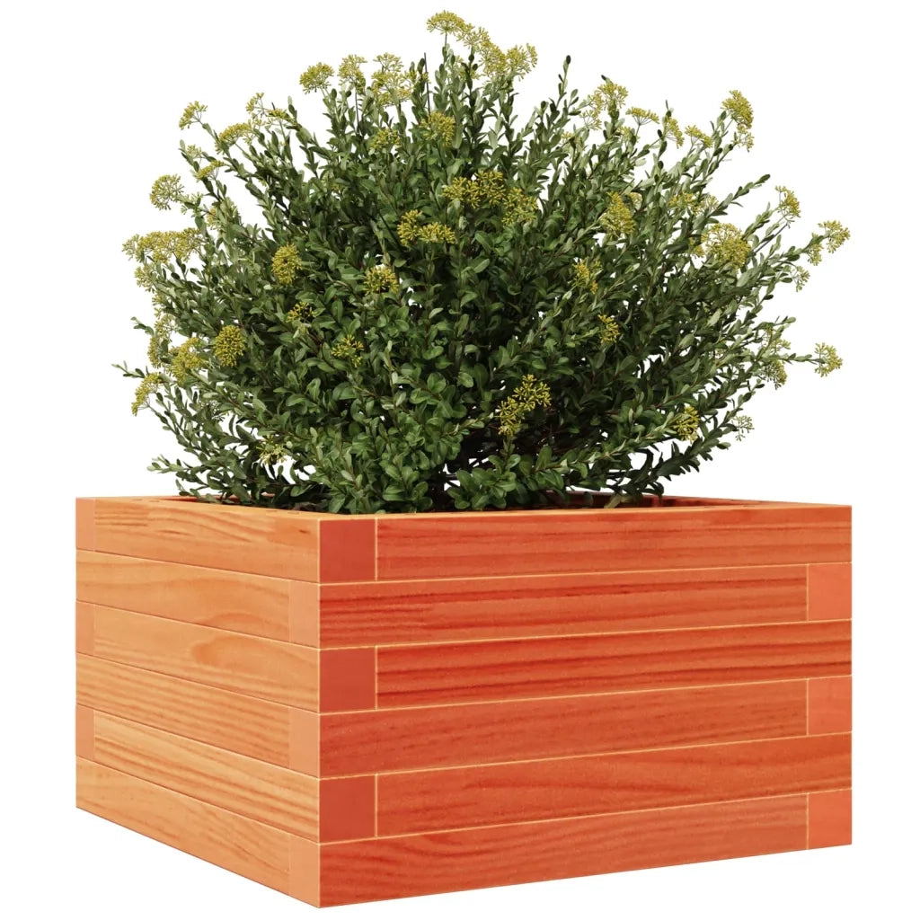 Fioriera Giardino Marrone Cera 40x40x23 cm Legno Massello Pino 847180