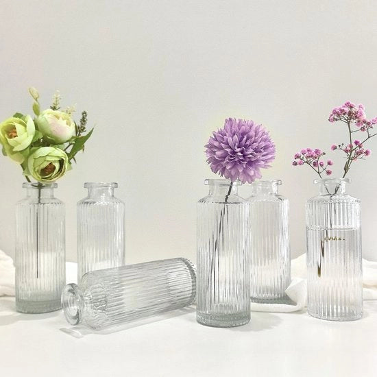 Set di vasi miniaturi 6 pezzi in vetro, decorati, altezza 13 cm, set di vasi miniaturi in vetro per fiori, decorazione da tavola, regali per ospiti, decorazione per matrimoni e eventi (trasparente)